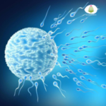 Infertility Male / Female Treatment in Ayurveda